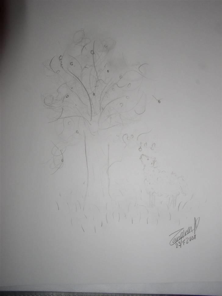 Mine tegninger (dyr) - 7. Undskyld den er lidt utydlig , men det er en meget svag tegning ( :
Hvis nogen er i tvivl , er det er får der spiser af en æbletræ ( : billede 9