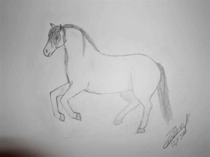 Mine tegninger (dyr) - 8. Super god er den ikke blevet , men den er nu meget sød ( : billede 10