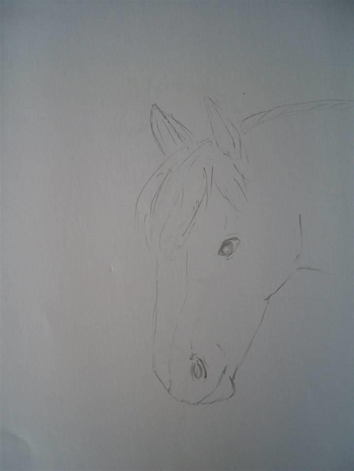 Mine tegninger (dyr) - 9. billede 11