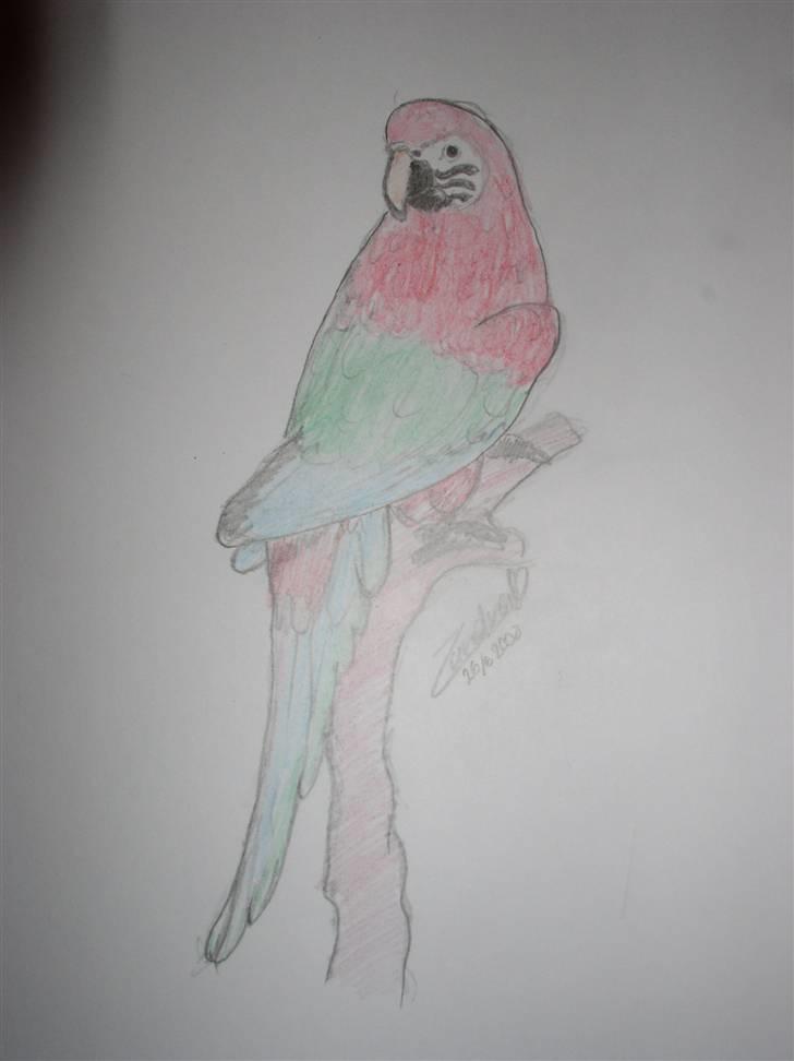 Mine tegninger (dyr) - 10. Her har jeg tegnet efter en lille pappegøje-figur jeg har ( : Jeg er meget tilfreds med den ( : billede 12