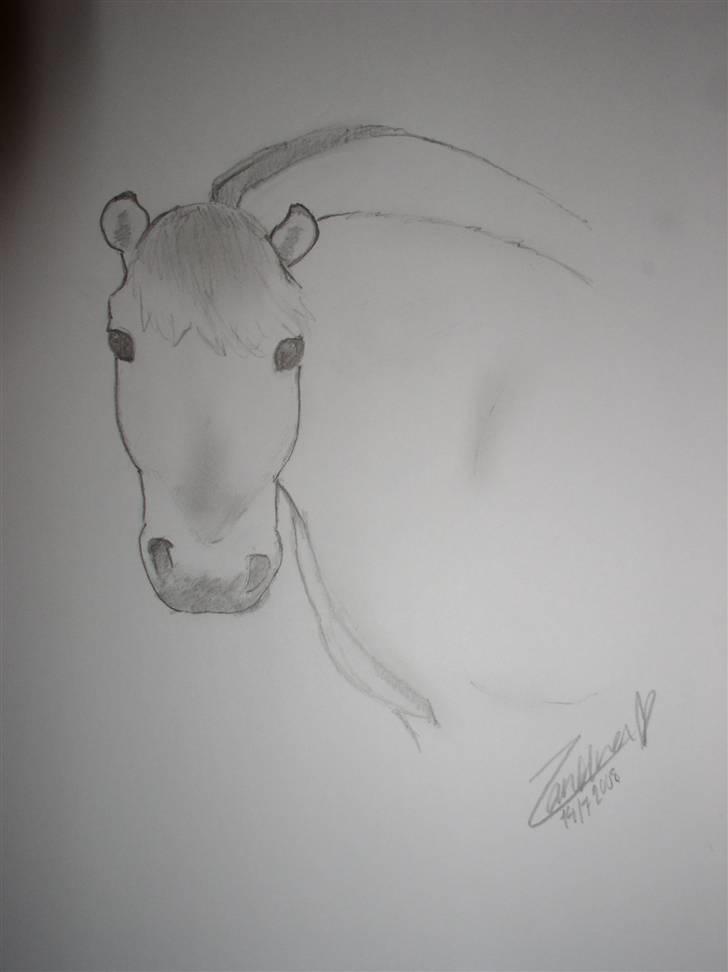 Mine tegninger (dyr) - 11. Den har vist fået et lidt sjovt hoved ( : hehe billede 13