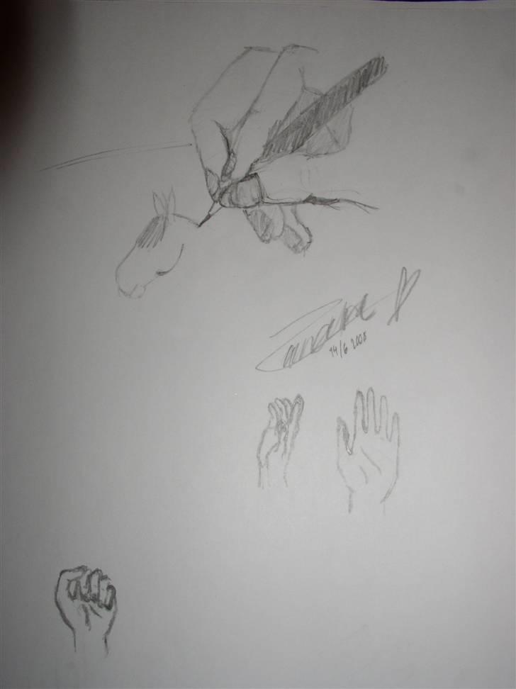 Mine tegninger (dyr) - 12. Det er godt nok ikke af et dyr , men synes nu den skulle her ind af ligevel ( :
Jeg har tegnet mine enge hænder !
 billede 14