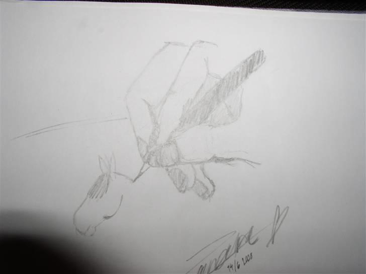 Mine tegninger (dyr) - 13. ^^^^ billede 15