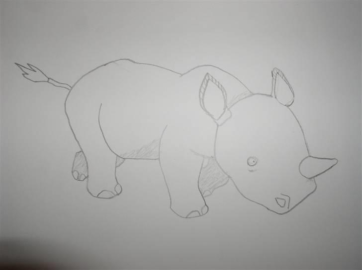 Mine tegninger (dyr) - 15. Et lille næsehorn jeg tegnede for mange år siden ( : billede 17