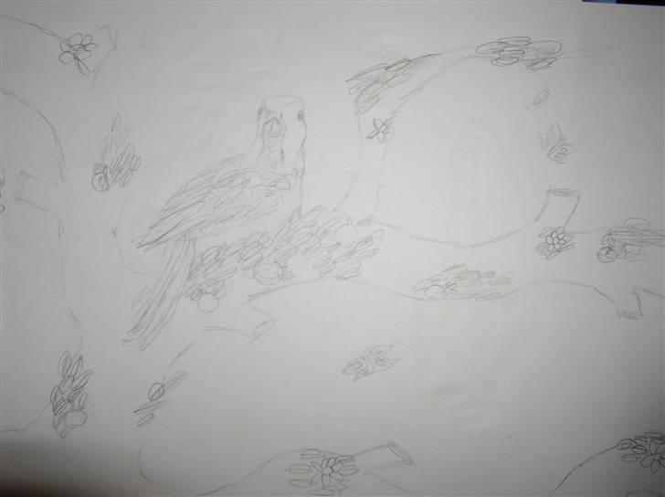 Mine tegninger (dyr) - 16. En skitse til en malerig jeg har lavet ( : Maleriget blev dog meget grimt .. billede 18