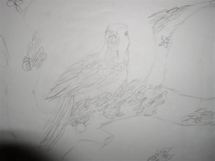 Mine tegninger (dyr) - 17. ^^^^ billede 19