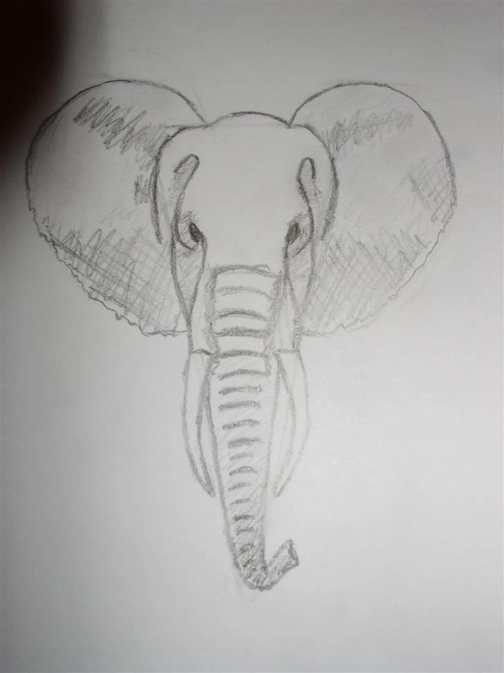 Mine tegninger (dyr) - 19. Synes bare denne her tegning er super flot ! Elsker den bare ( : billede 21