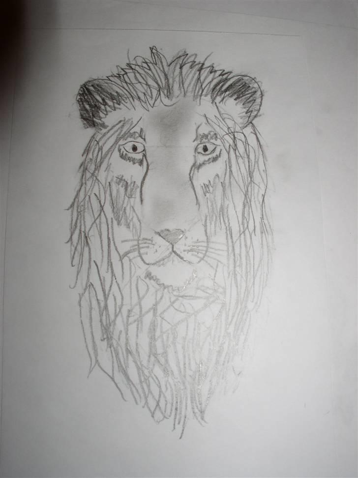 Mine tegninger (dyr) billede 22