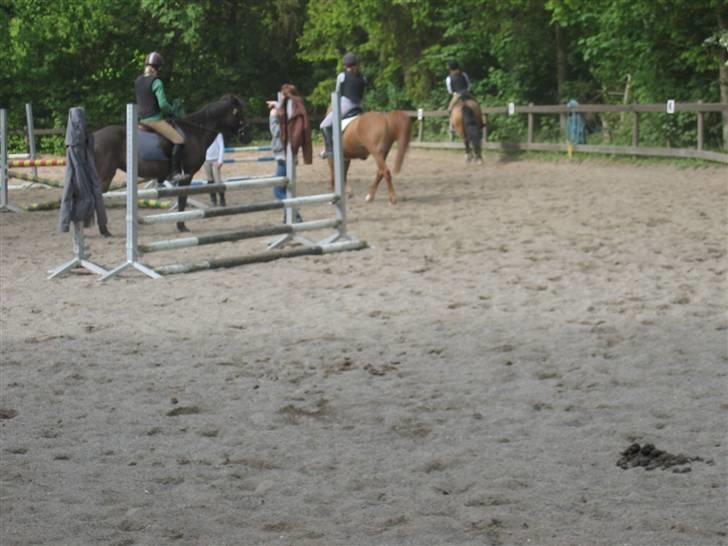 Heste fra Langstruplund - Lige lidt få billeder fra en springtime. Det er mig på Red star ( den røde), tine på malou ( den mørkebrune) & alberte der er i gang ( hun rider på harlekin med den sorte hale).
 billede 40