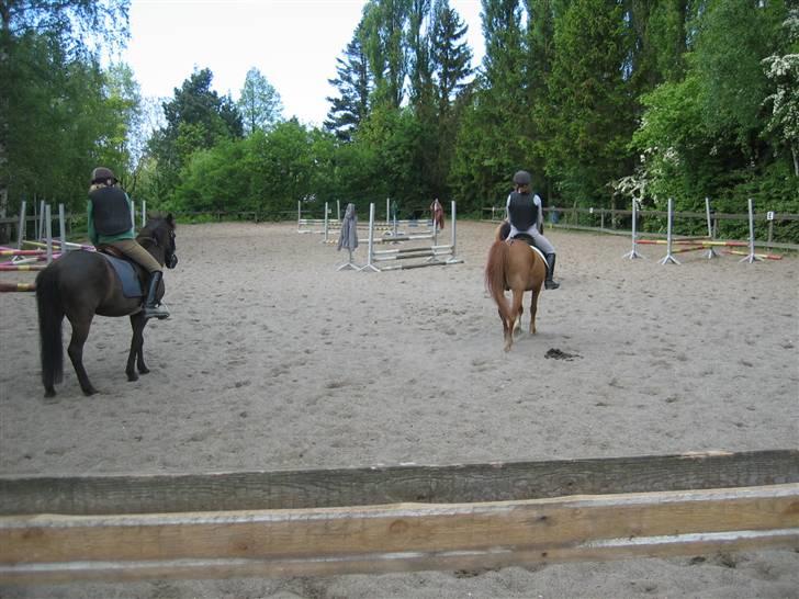 Heste fra Langstruplund - Springtræning. Kæmpemig på den Røde (Røde) & Tine på Malou ( den mørke). billede 41