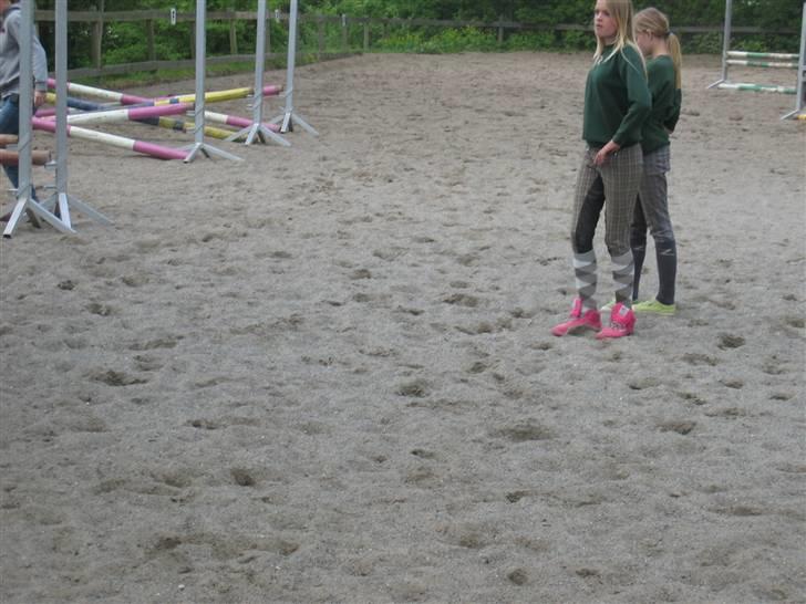 Heste fra Langstruplund - Anja & Emilie. billede 42