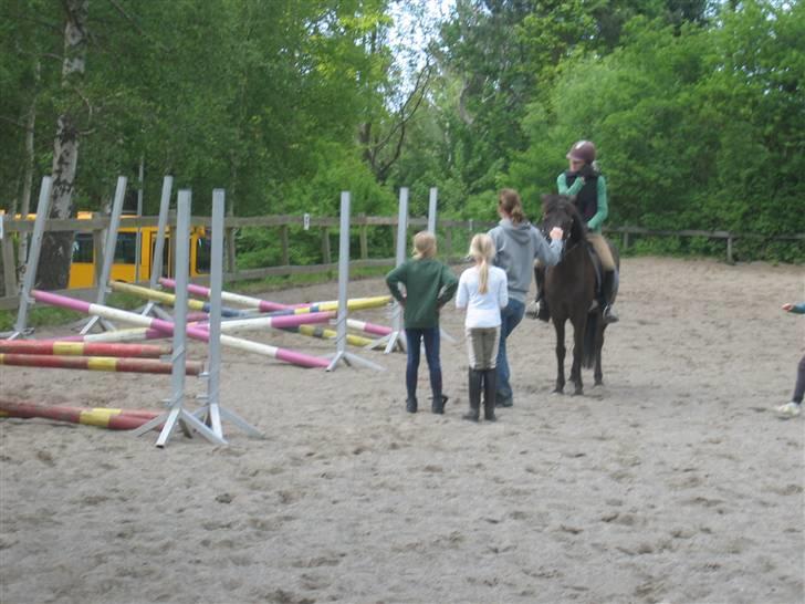 Heste fra Langstruplund - Springlæreren jeanne, Malou & Tine + 2 små piger. billede 43