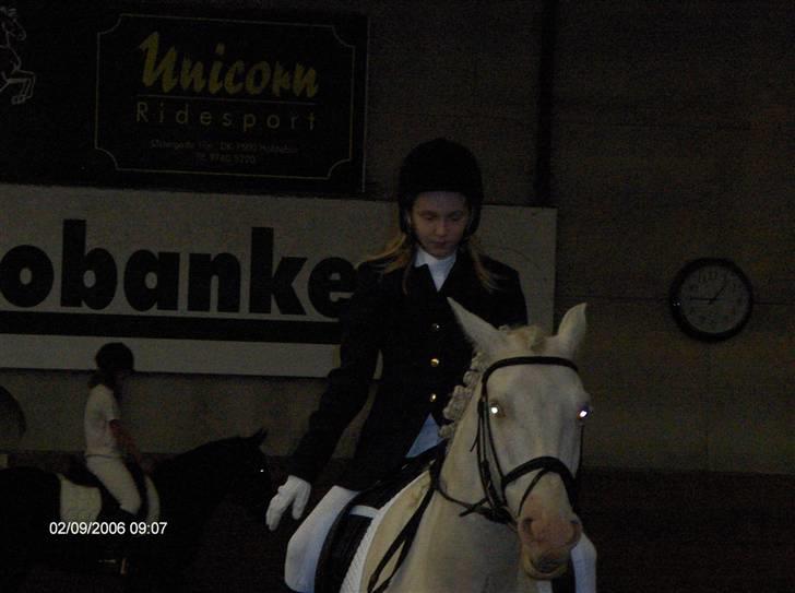 Min gamle hest Blanco og Oldenborg følet Samantha - Blanco og jeg til stævn billede 8