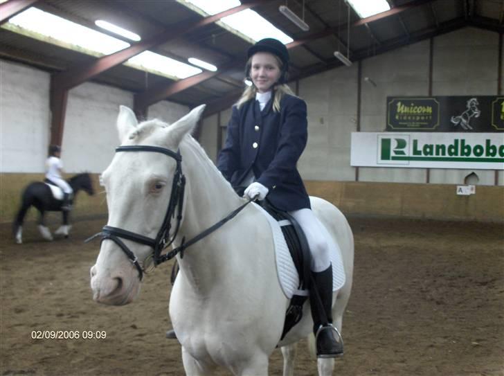 Min gamle hest Blanco og Oldenborg følet Samantha - Blanco og jeg billede 10