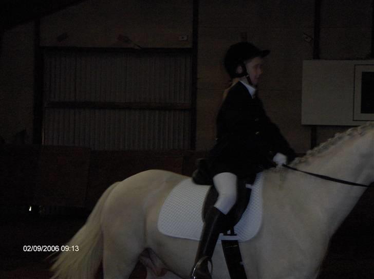 Min gamle hest Blanco og Oldenborg følet Samantha - Blanco og jeg billede 11