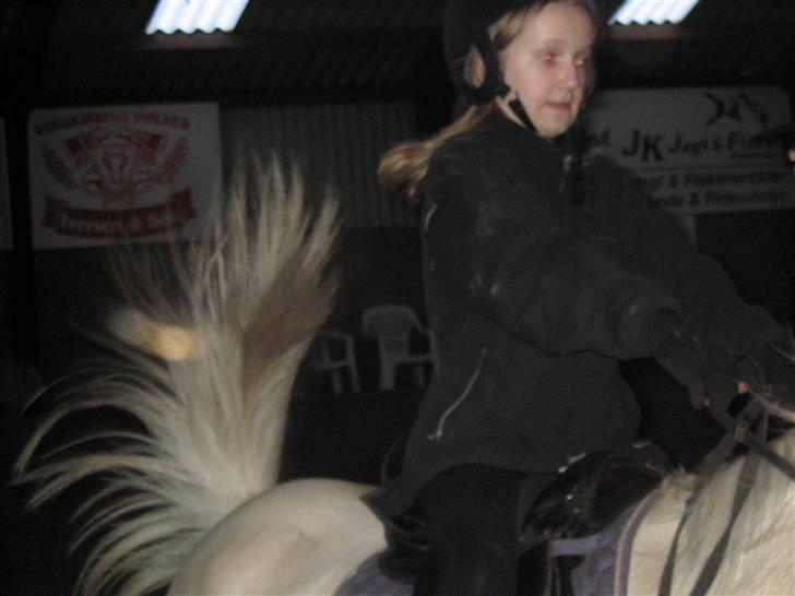 Min gamle hest Blanco og Oldenborg følet Samantha - Mig billede 18