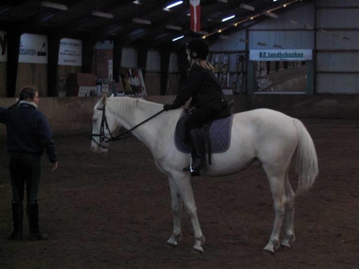 Min gamle hest Blanco og Oldenborg følet Samantha - Randi, Blaco og jeg     Undervisning billede 26