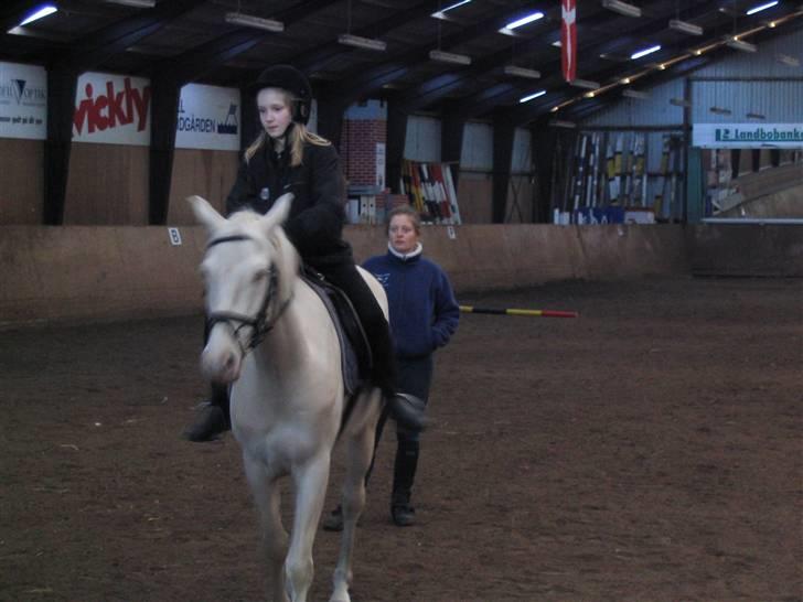 Min gamle hest Blanco og Oldenborg følet Samantha - Til undervisning billede 31