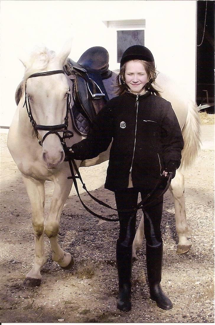 Min gamle hest Blanco og Oldenborg følet Samantha - Blanco og jeg på vores gårdsplads billede 42