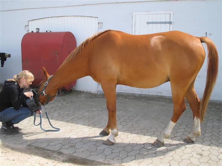 Fjollerier med Milo og co. - Men det er nu rart at mor lige hjælper når vi ikke kan få det ude i kanten billede 4