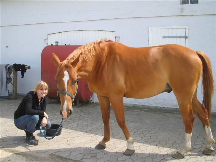 Fjollerier med Milo og co. - Nå, ikke mere mad. Så er jeg den der er smuttet. billede 5
