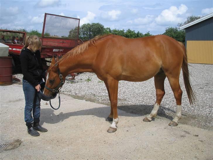 Fjollerier med Milo og co. - Hov! Var der lidt endnu T.T tænk hvis du ikke havde sagt det!!!! billede 6