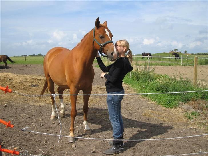 Fjollerier med Milo og co. - Det bedste er simpelthen at blive mysset billede 13