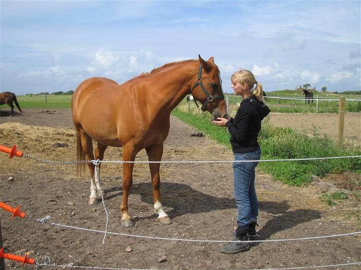 Fjollerier med Milo og co. - Har du noget til mig? billede 14