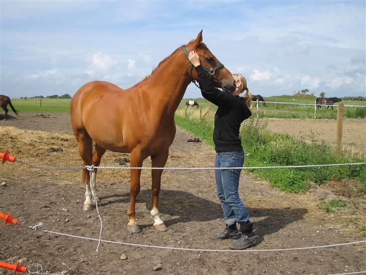 Fjollerier med Milo og co. - Mysser lige igen <3 billede 15