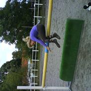 Ida, cecilie, og Bene springer 100 cm - 110 cm