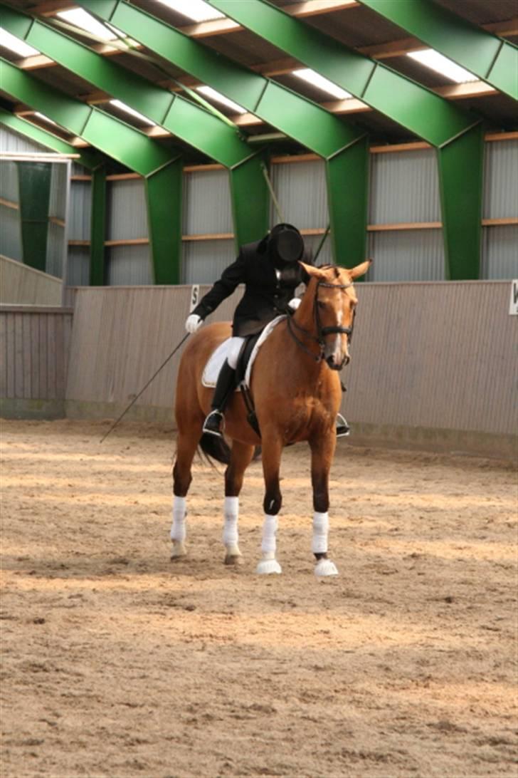Opvisning på Sindal Rideklub 9/8-08 billede 1