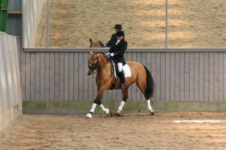 Opvisning på Sindal Rideklub 9/8-08 billede 2