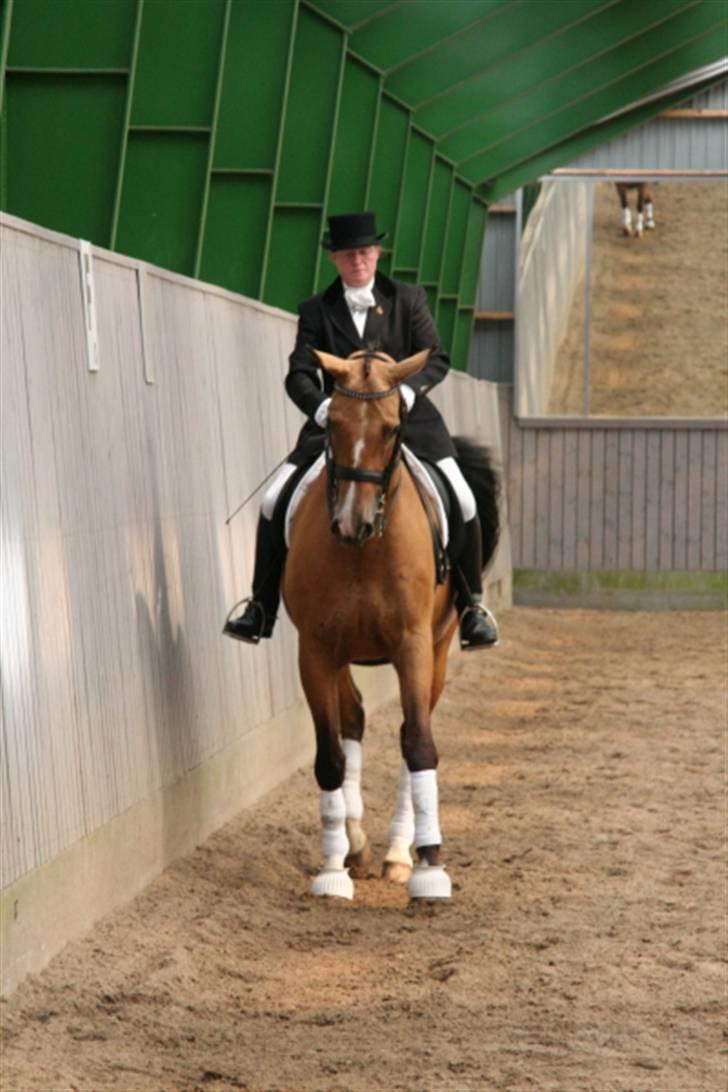 Opvisning på Sindal Rideklub 9/8-08 billede 3