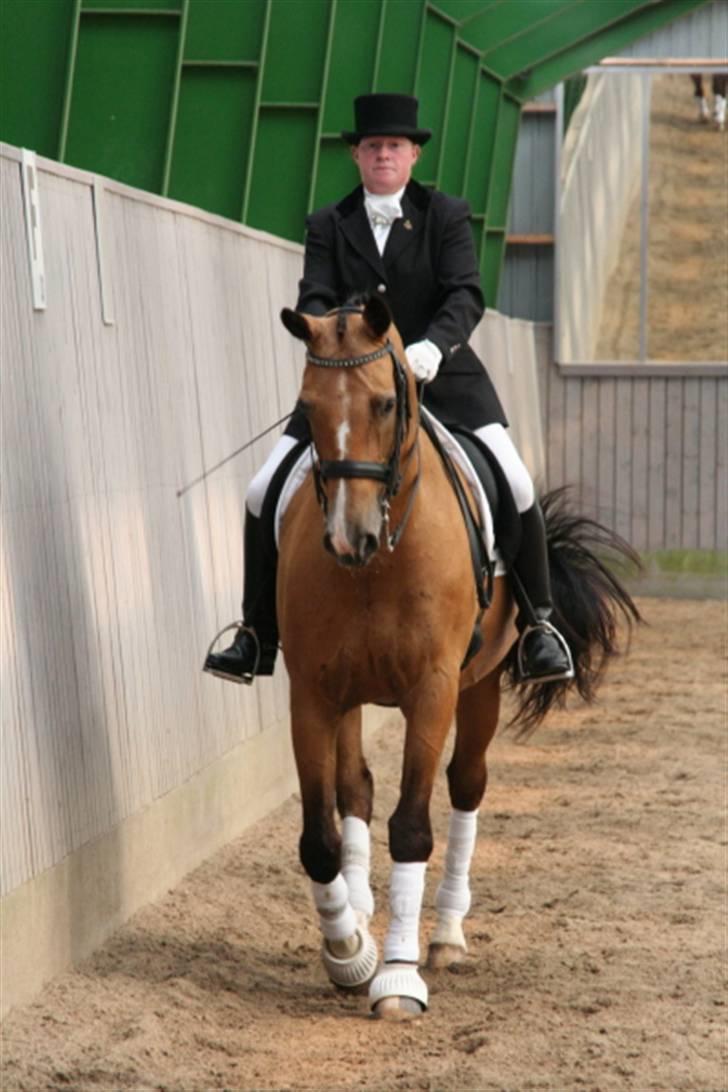 Opvisning på Sindal Rideklub 9/8-08 billede 4