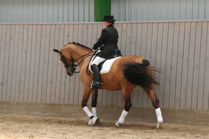 Opvisning på Sindal Rideklub 9/8-08 billede 5