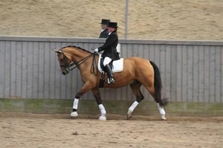 Opvisning på Sindal Rideklub 9/8-08 billede 6