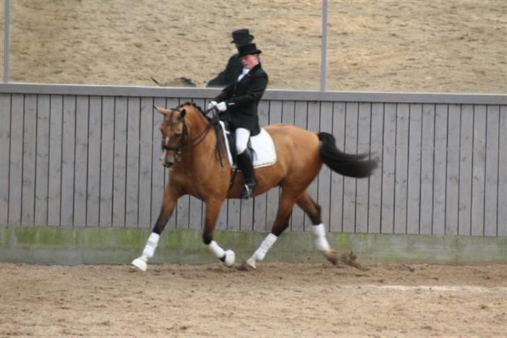 Opvisning på Sindal Rideklub 9/8-08 billede 7