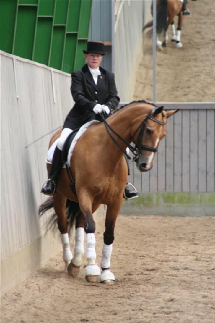 Opvisning på Sindal Rideklub 9/8-08 billede 9