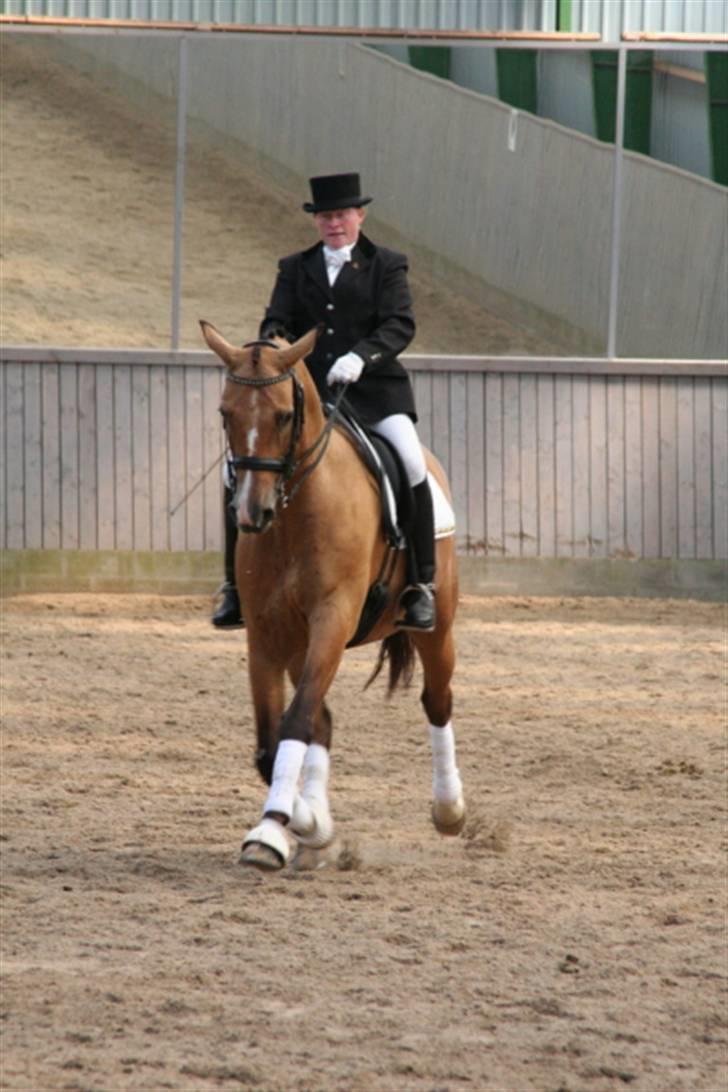 Opvisning på Sindal Rideklub 9/8-08 billede 11