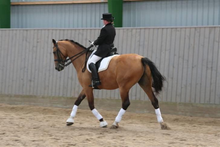 Opvisning på Sindal Rideklub 9/8-08 billede 12