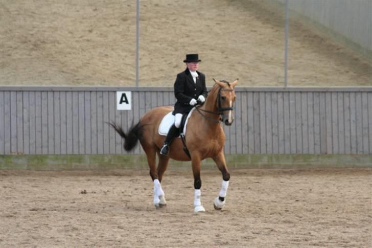 Opvisning på Sindal Rideklub 9/8-08 billede 16