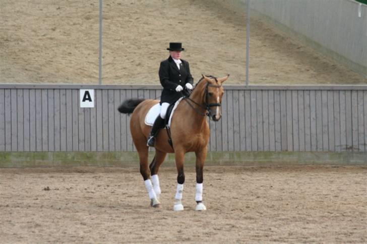 Opvisning på Sindal Rideklub 9/8-08 billede 18