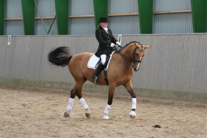 Opvisning på Sindal Rideklub 9/8-08 billede 20