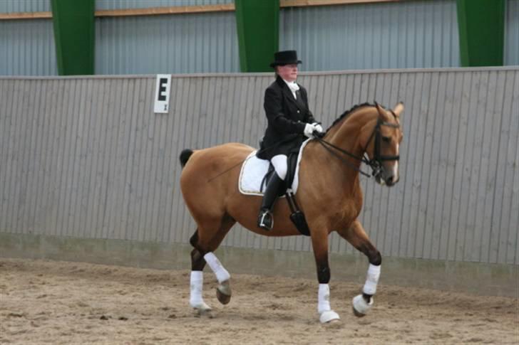 Opvisning på Sindal Rideklub 9/8-08 billede 21