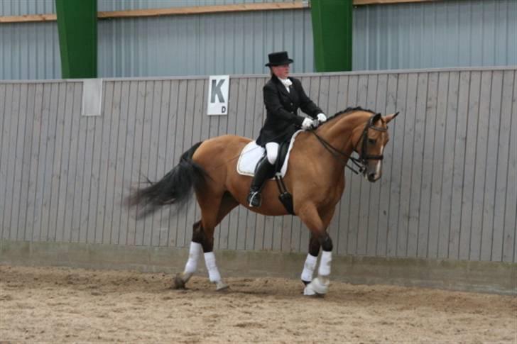 Opvisning på Sindal Rideklub 9/8-08 billede 22