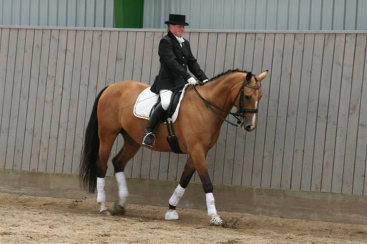 Opvisning på Sindal Rideklub 9/8-08 billede 24