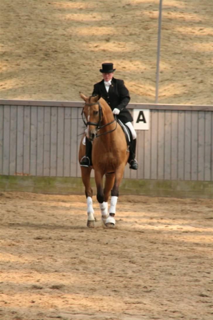 Opvisning på Sindal Rideklub 9/8-08 billede 25