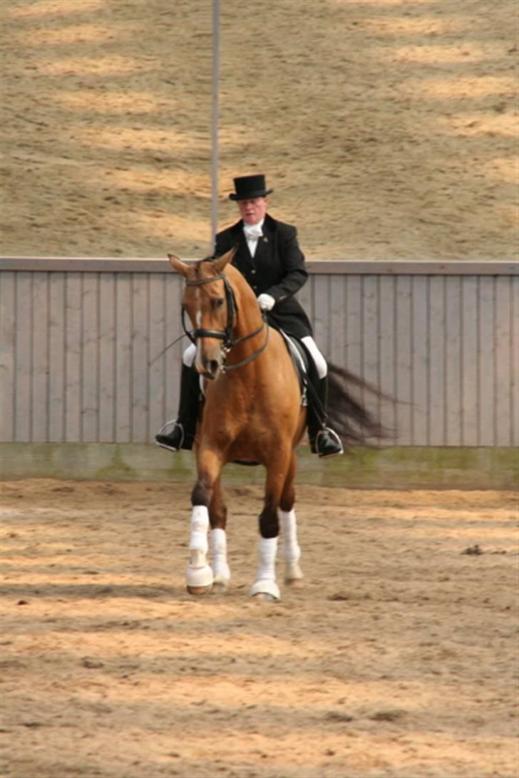 Opvisning på Sindal Rideklub 9/8-08 billede 26