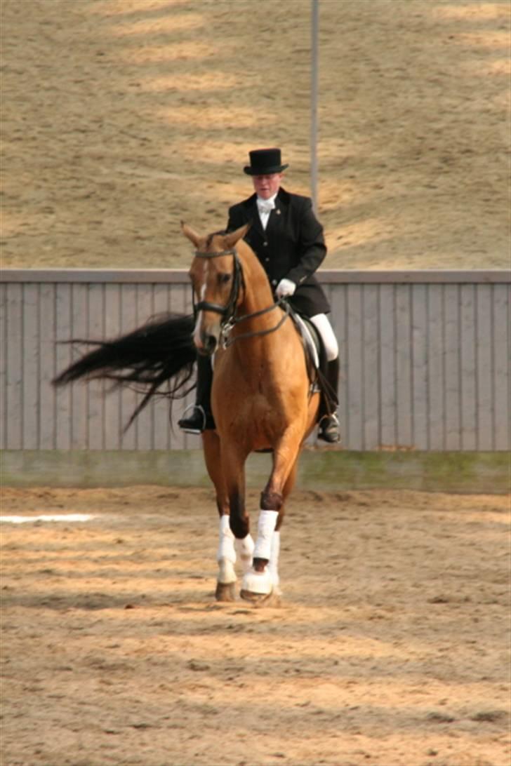 Opvisning på Sindal Rideklub 9/8-08 billede 27