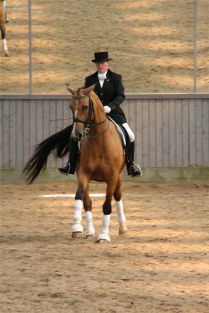 Opvisning på Sindal Rideklub 9/8-08 billede 28